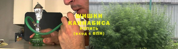 сатива Нея